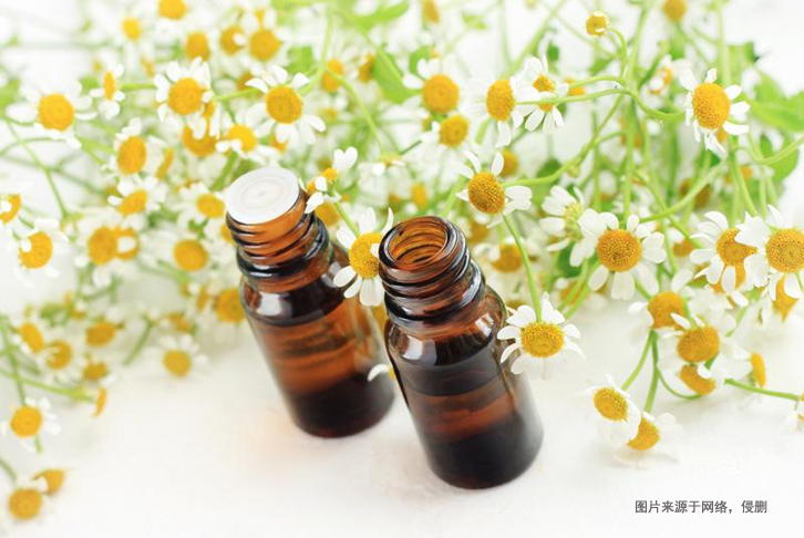 摩洛哥洋甘菊精油進(jìn)口報關(guān)