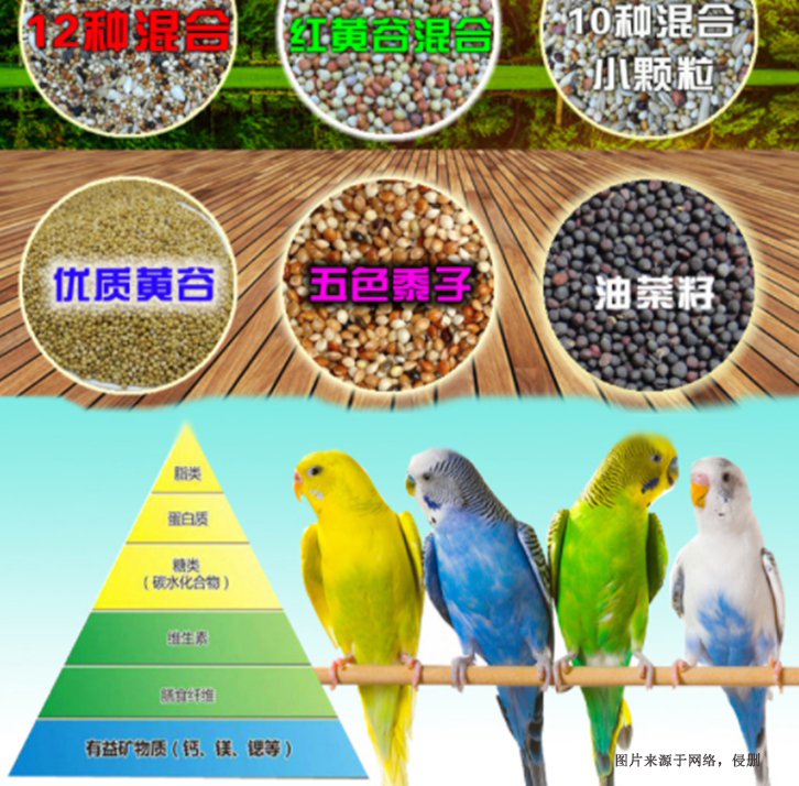 廣州進(jìn)口加拿大寵物飼料清關(guān)流程代理海運(yùn)貨代案例