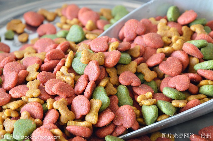 進(jìn)口寵物食品報關(guān)_解讀全面的流程與要點