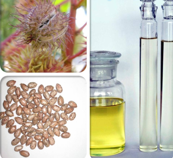 印度蓖麻油進(jìn)口清關(guān)資料