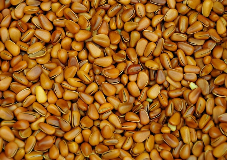 阿富汗松子進口清關