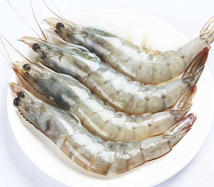 進口印度青蝦清關(guān)資料