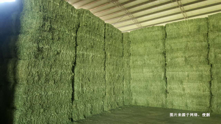 進口加拿大苜蓿草報關(guān)資料