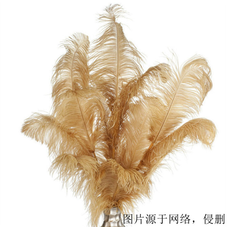 鴕鳥羽毛進(jìn)口報關(guān)資料