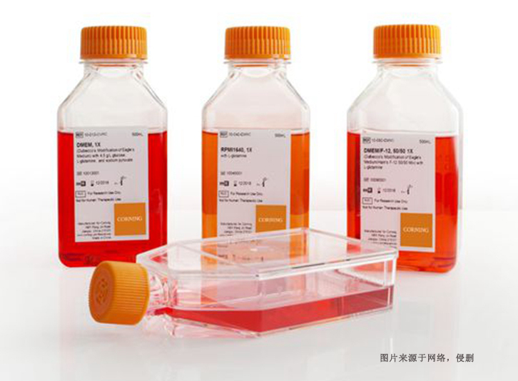 德國細胞培養(yǎng)試劑進口報關(guān)資料