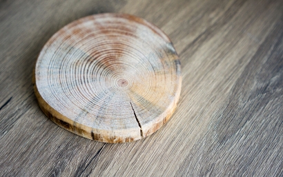 大連橡膠木進(jìn)口報關(guān)代理服務(wù)