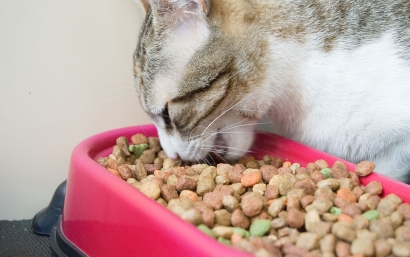 貓糧進口清關(guān)