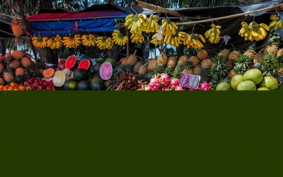 泰國水果進(jìn)口清關(guān)一站式所需了解的流程以及關(guān)稅