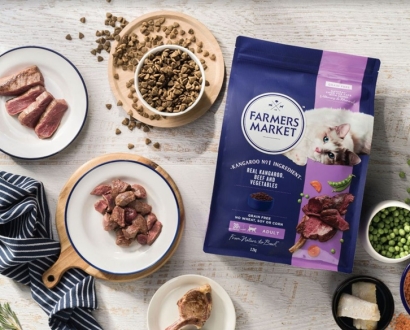 寵物貓糧進(jìn)口報(bào)關(guān)公司一站式進(jìn)口貓糧清關(guān)-門到門