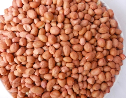 廣州花生米進(jìn)口報(bào)關(guān)代理需要什么資料