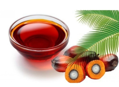 棕櫚油進口報關公司哪家好？棕櫚油清關流程