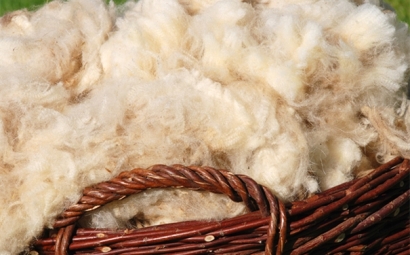 進口羊毛報關一般貿易進口流程是怎樣的？