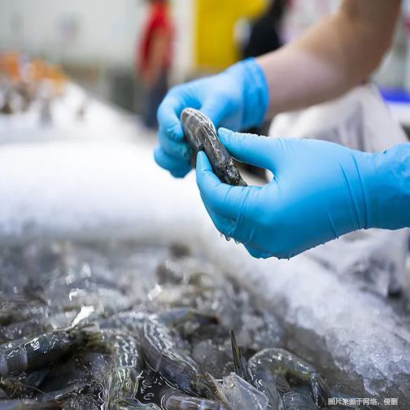 成都冷凍食品進口報關清關