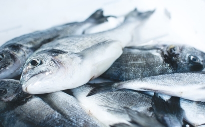 冷凍魚進(jìn)口報(bào)關(guān)注意事項(xiàng)有這些，參考一下