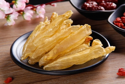 進口魚膠清關準入的國家有哪些？花膠進口報關