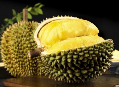 上海進口菲律賓榴蓮報關(guān)資料-19年新鮮水果報關(guān)行