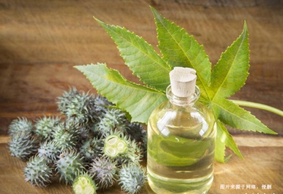 印度精煉蓖麻油進(jìn)口報(bào)關(guān)流程費(fèi)用-19年植物油報(bào)關(guān)行