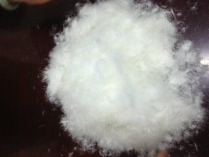 波蘭羽絨進(jìn)口報(bào)關(guān)流程_波蘭準(zhǔn)入水洗羽絨羽毛企業(yè)