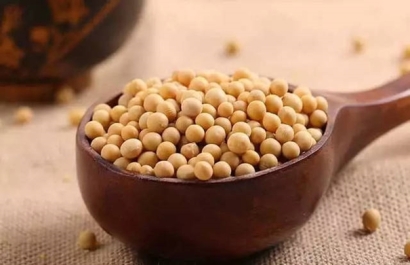 青島港大豆清關找17年經驗的廣州臻力公司