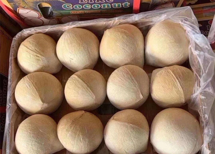 進口新鮮椰子報關(guān) 進口新鮮椰子報關(guān)
