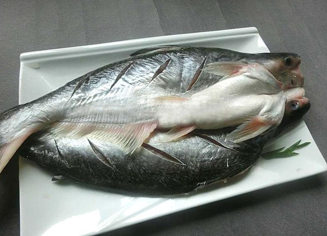 馬來西亞冷凍黑虎蝦進口報關(guān) 馬來西亞冷凍黑虎蝦進口報關(guān)