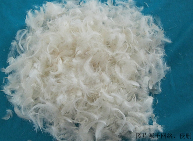 鴨毛進口報關資料 鴨毛進口報關資料