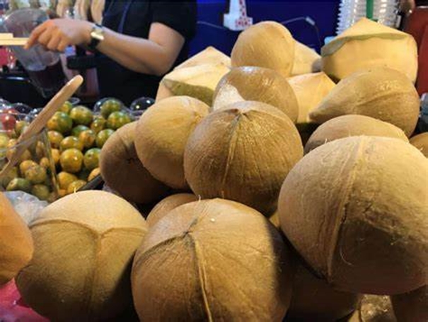 1643100936645904.jpg 椰子進口報關_副本.jpg