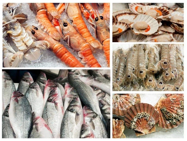 1645787336902250.jpg 湛江海鮮進(jìn)口報關(guān)公司_副本.jpg