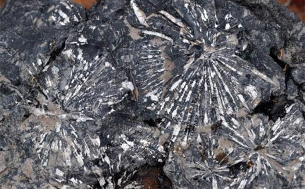 鎳礦石進(jìn)口清關(guān)所需資料以及注意事項(xiàng) 鎳礦石進(jìn)口清關(guān)