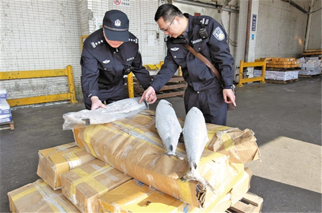 1587691679861679.jpg 菲律賓凍魚(yú)進(jìn)口報(bào)關(guān)