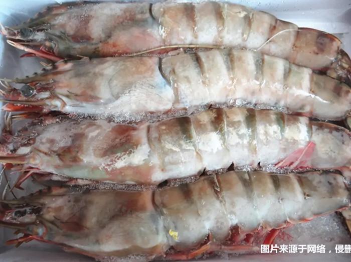 1674901367807640.jpg 冷凍去頭明對蝦進口報關_副本.jpg