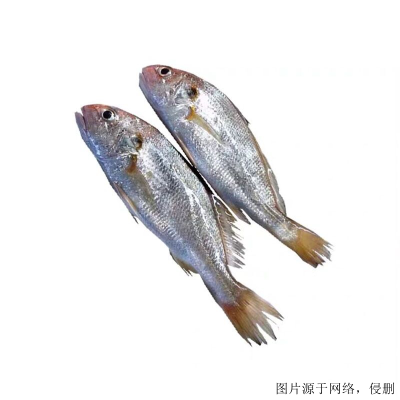 越南白姑魚進口清關(guān)流程 越南白姑魚進口清關(guān)流程