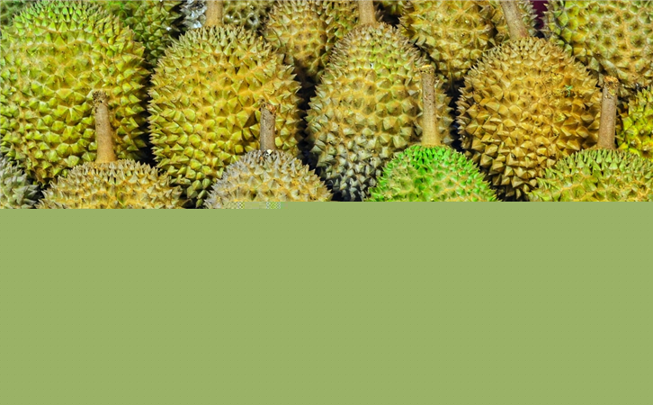 馬來西亞榴蓮進口報關