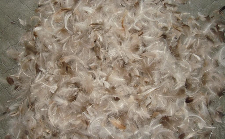 鴨毛進口清關一般貿易進口流程 進口鴨毛進口清關