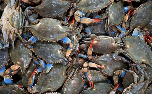 1613730199332882.jpg VCG41N1131035190_副本.jpg