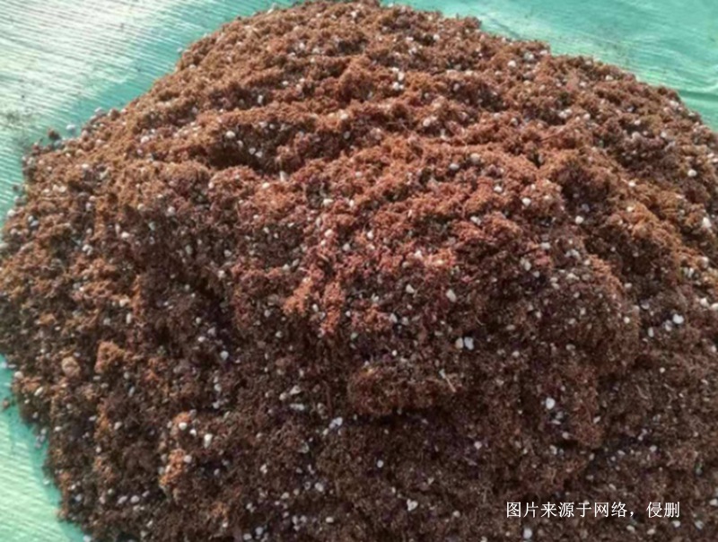 越南椰糠進(jìn)口報關(guān)代理流程 越南椰糠進(jìn)口報關(guān)代理流程