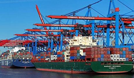 1576055435716485.jpg 進(jìn)口冷凍雞爪報(bào)關(guān)