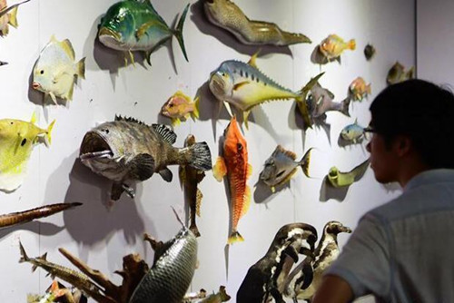 1571989725318479.jpg 148116175_副本.jpg