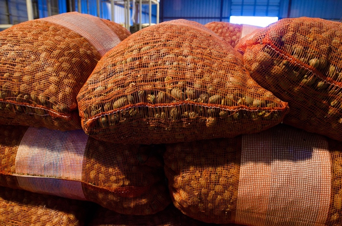 1640052916474022.jpg 碧根果進口報關一般貿易流程.jpg