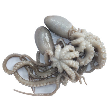 1583890212275258.jpg 57a5c69aN6930101c.jpg