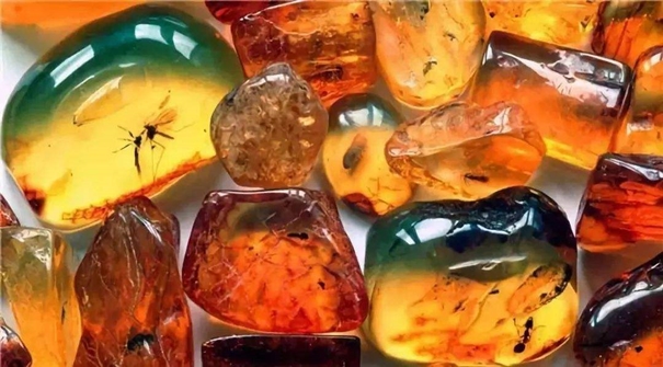 琥珀石進(jìn)口報關(guān)運輸注意事項 琥珀石進(jìn)口報關(guān)